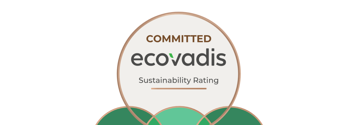 EcoVadis Blog post cover